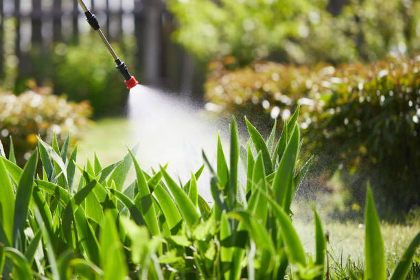 Tamper-Resistant Bait Stations for Rodents in Dawson