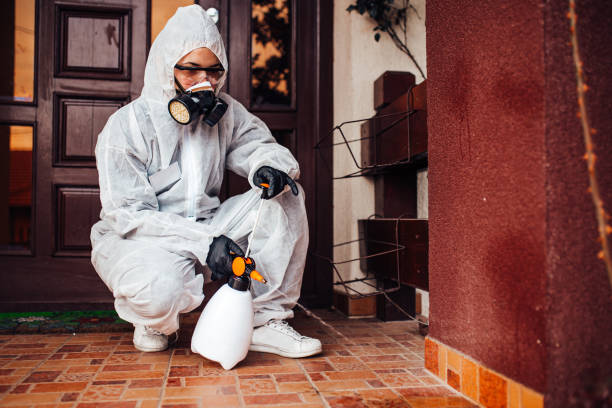 Attic and Crawl Space Rodent Treatment in Dawson